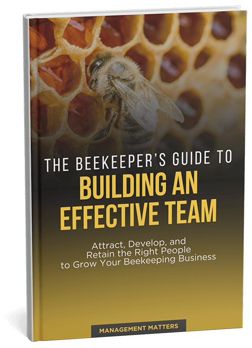 eBook Building an effecitve team opmisted